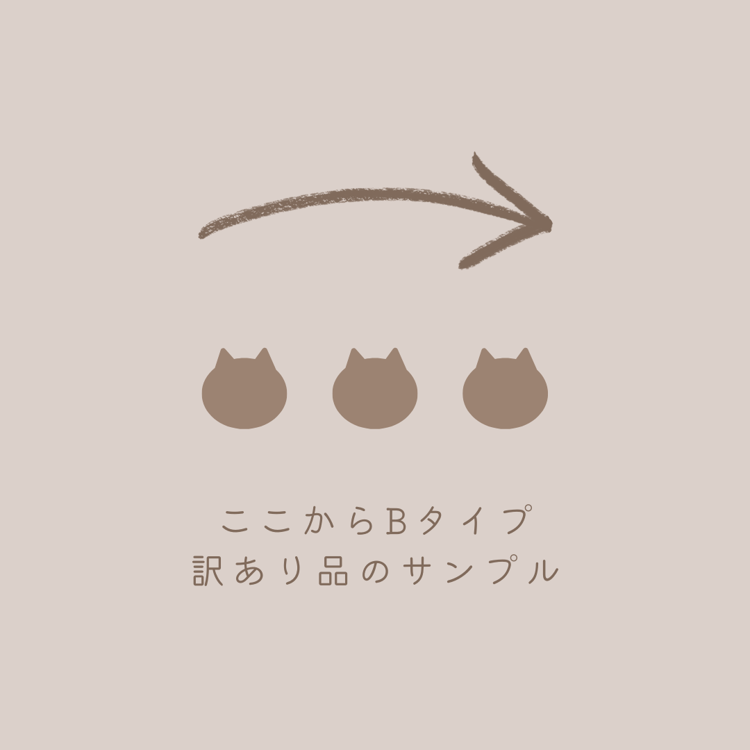 【再販1月】猫だらけのHAPPY BOX(送料無料)
