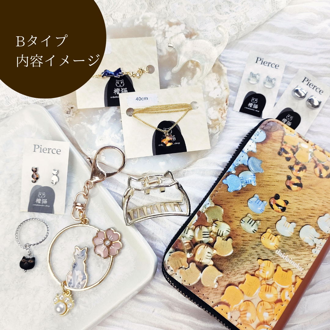 【再販1月】猫だらけのHAPPY BOX(送料無料)