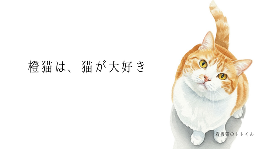 橙猫は、猫が大好き