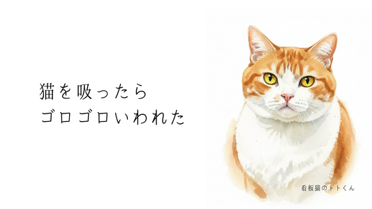 猫を吸ったら、ゴロゴロいわれた。