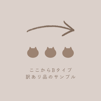 【再販1月】猫だらけのHAPPY BOX（送料無料）