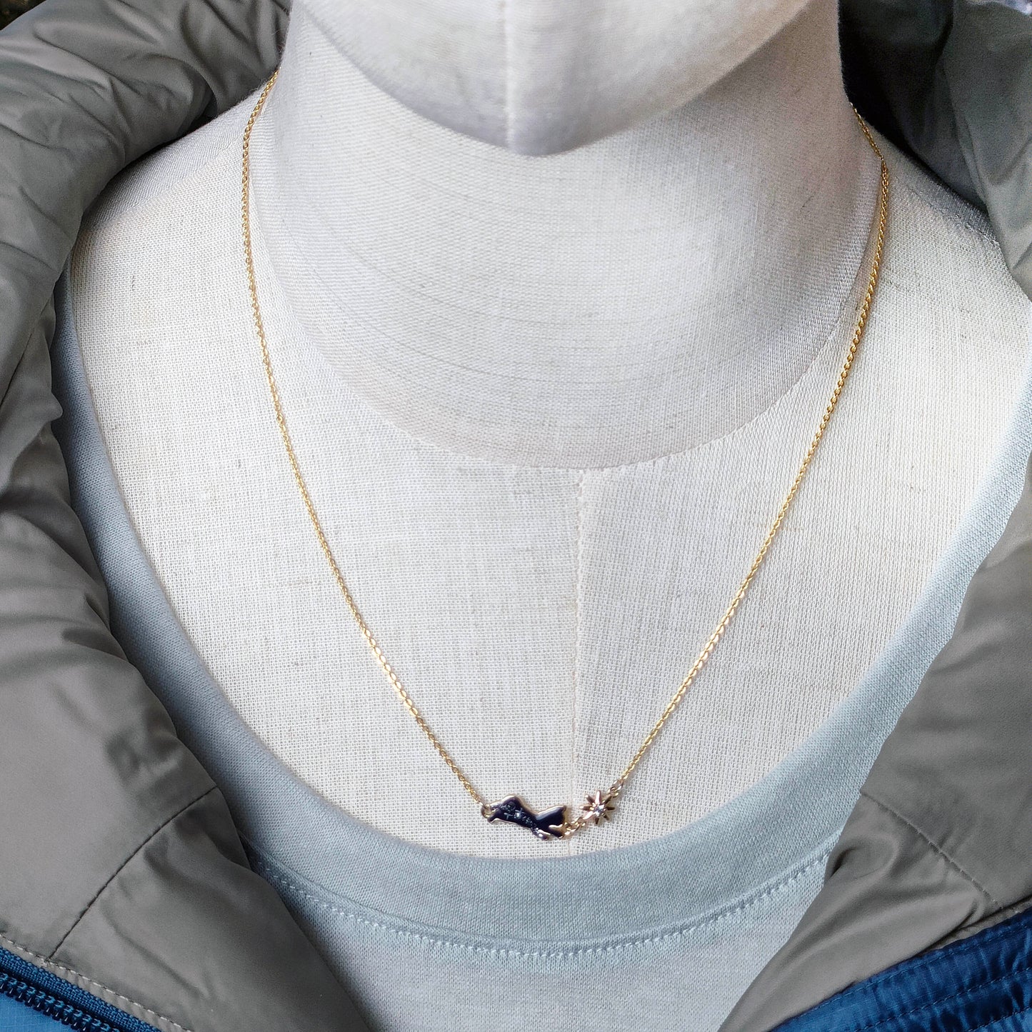 【90日以内発送】猫だらけのHAPPY BOX（送料無料）