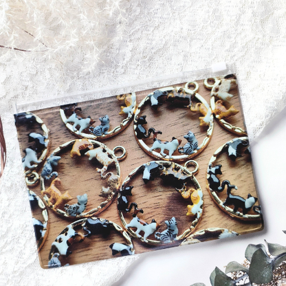 【90日以内発送】猫だらけのHAPPY BOX（送料無料）